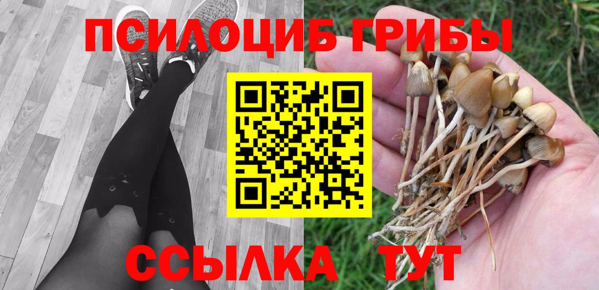 Балахна  Псилоцибиновые грибы MAGIC MUSHROOMS  Вход с VPN  Псилоцибиновые грибы мухоморы 